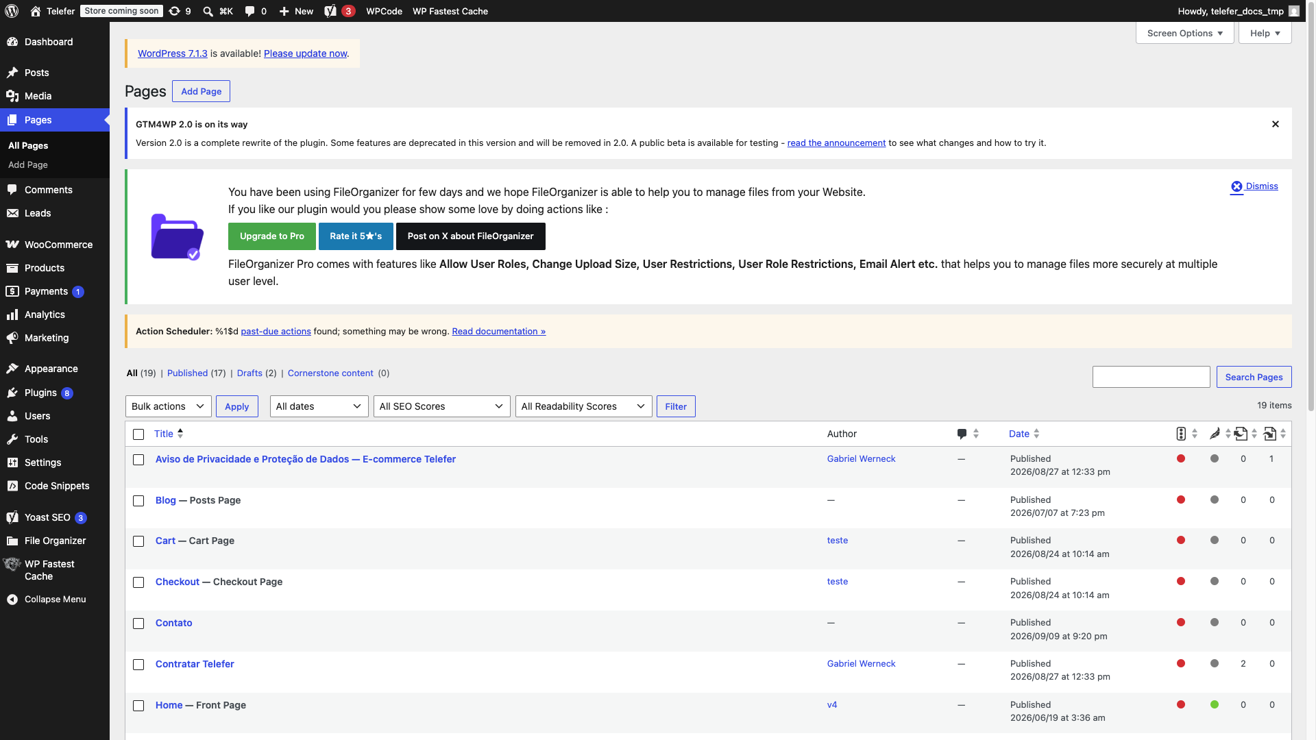 Dashboard do WordPress Telefer